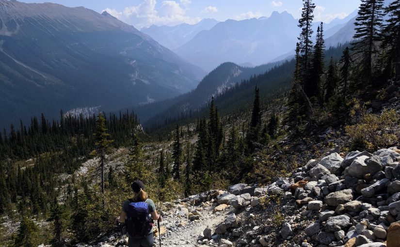 Iceline hike